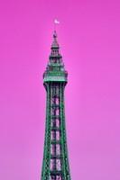0329 Blackpool heat pink